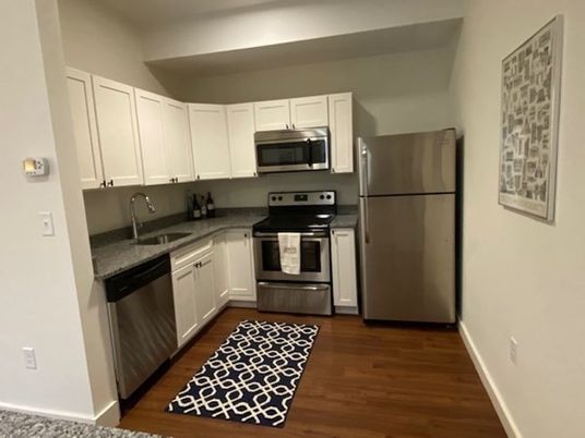 Interior, Kitchen, Stainless Steel Appliances, Wood Texture Flooring