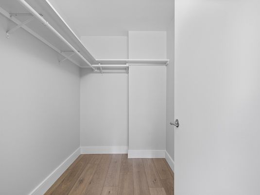 Interior, Walk-in Closets, Wood Texture Flooring