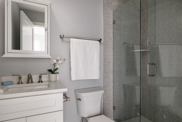 Bathroom, Glass Shower, Interior