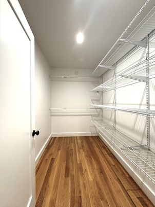 Interior, Recessed Lighting, Walk-in Closets, Wood Texture Flooring