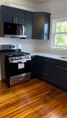 Interior, Kitchen, Stainless Steel Appliances, Wood Texture Flooring