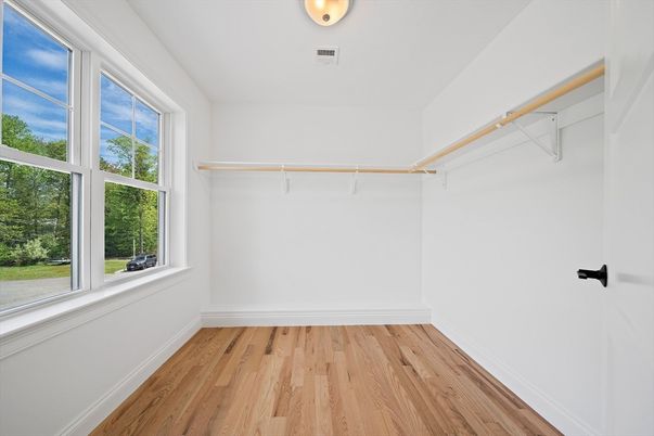 Interior, Walk-in Closets, Wood Texture Flooring