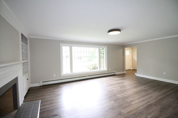 Empty room, Fireplace, Interior, Wood Texture Flooring