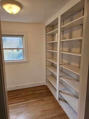 Interior, Walk-in Closets, Wood Texture Flooring