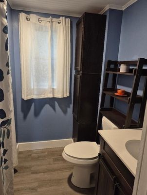 Bathroom, Interior, Wood Texture Flooring