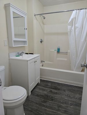 Bathroom, Interior, Wood Texture Flooring