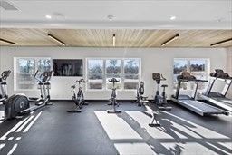 Fitness Equipment, Gym, Interior, Recessed Lighting, Wooden Ceilings