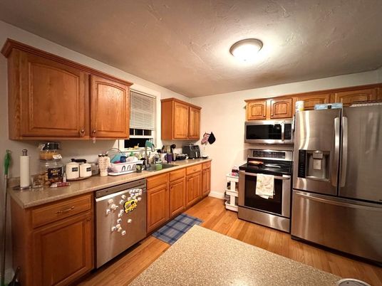 Interior, Kitchen, Stainless Steel Appliances, Wood Texture Flooring