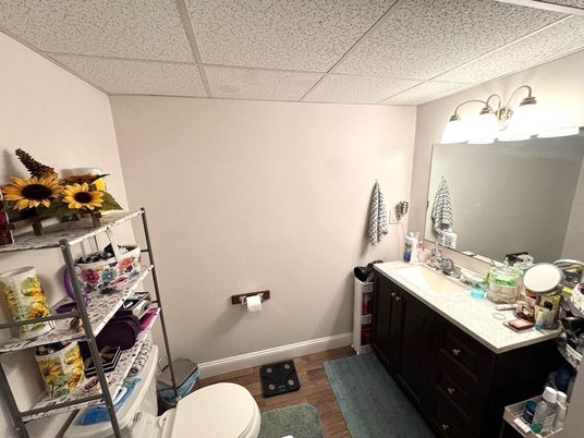 Bathroom, Interior, Wood Texture Flooring
