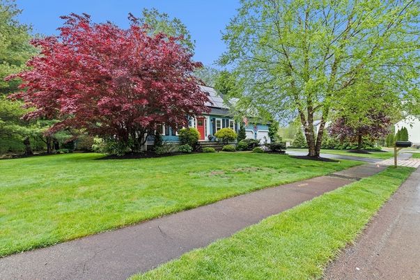 Backyard, Exterior, Solar Panels