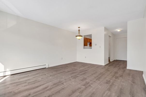 Empty room, Interior, Pendant Lights, Wood Texture Flooring