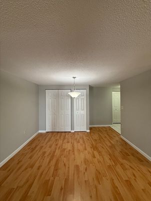 Empty room, Interior, Pendant Lights, Wood Texture Flooring