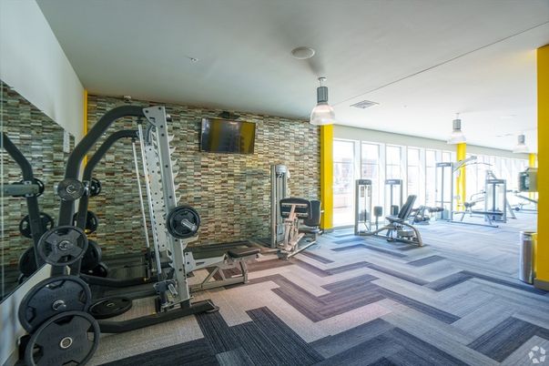 Fitness Equipment, Gym, Interior, Pendant Lights, Stone Walls