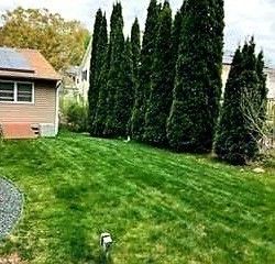 Backyard, Exterior, Solar Panels