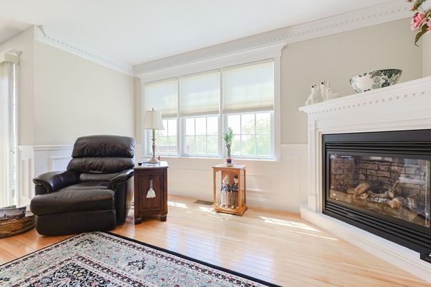 Fireplace, Interior, Wood Texture Flooring