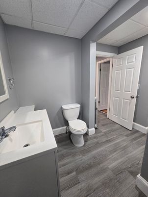 Bathroom, Interior, Wood Texture Flooring