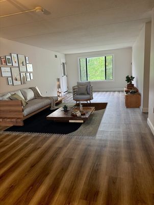 Interior, Living room, Wood Texture Flooring