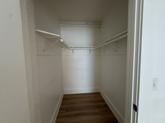 Interior, Walk-in Closets, Wood Texture Flooring