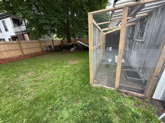 Backyard, Exterior