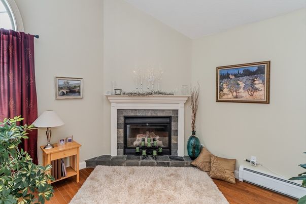 Fireplace, Interior, Wood Texture Flooring