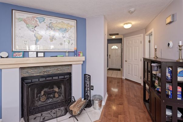Fireplace, Interior, Wood Texture Flooring
