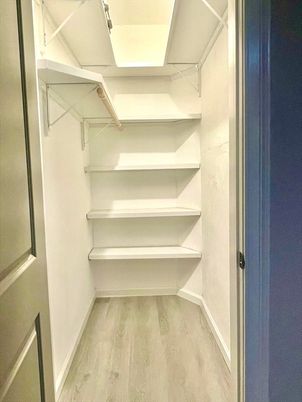 Interior, Walk-in Closets, Wood Texture Flooring