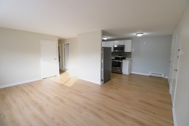 Empty room, Interior, Kitchen, Stainless Steel Appliances, Wood Texture Flooring