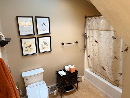 Bathroom, Interior, Wood Texture Flooring