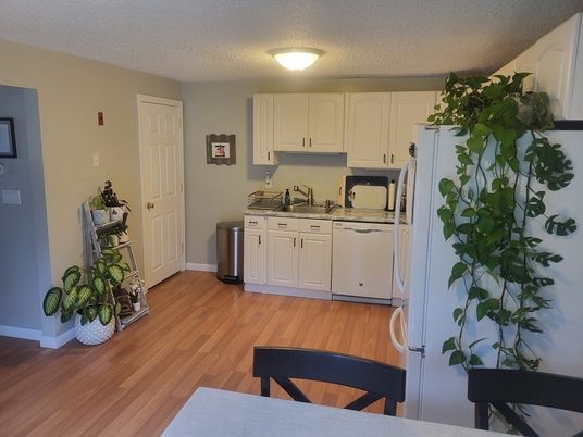 Interior, Kitchen, Wood Texture Flooring