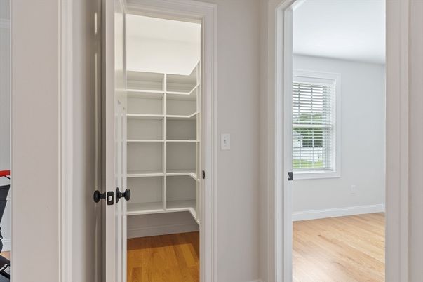 Interior, Walk-in Closets, Wood Texture Flooring