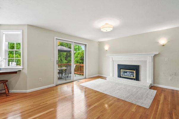 Fireplace, Interior, Wood Texture Flooring