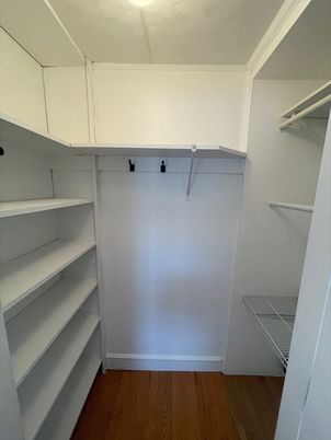 Interior, Walk-in Closets, Wood Texture Flooring