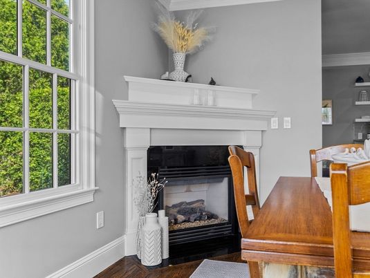 Fireplace, Interior, Wood Texture Flooring