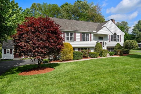Backyard, Exterior, Facade, Split Level