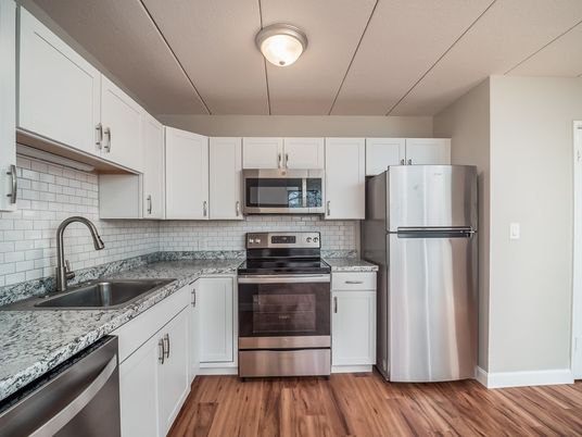 Interior, Kitchen, Stainless Steel Appliances, Wood Texture Flooring