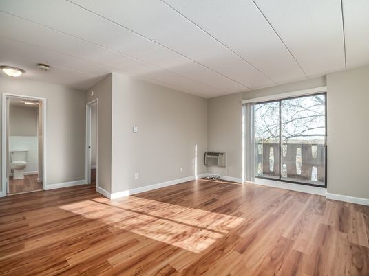 Bathroom, Empty room, Interior, Wood Texture Flooring
