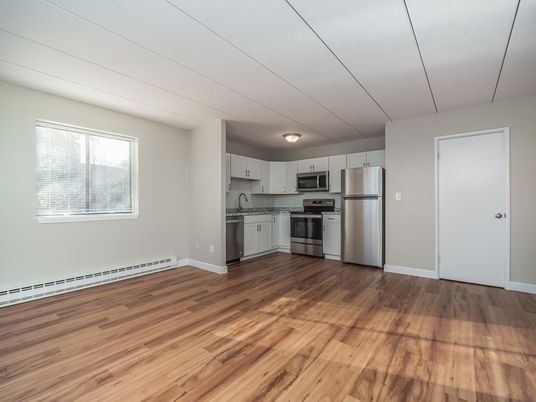 Empty room, Interior, Kitchen, Stainless Steel Appliances, Wood Texture Flooring