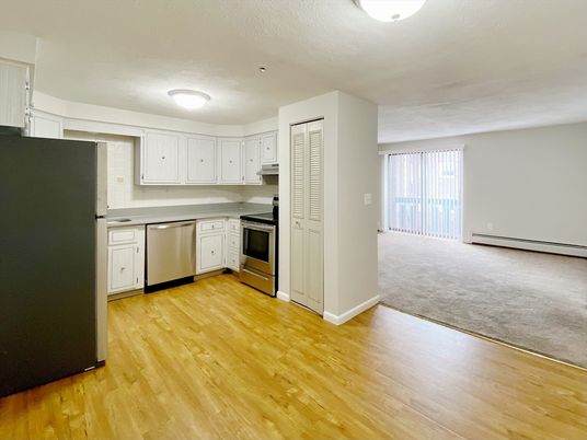 Interior, Kitchen, Stainless Steel Appliances, Wood Texture Flooring