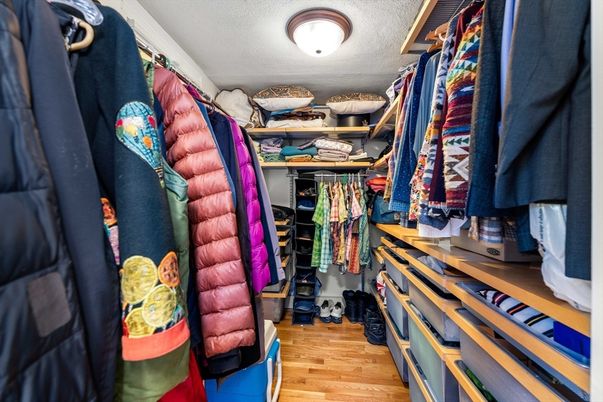 Interior, Walk-in Closets, Wood Texture Flooring