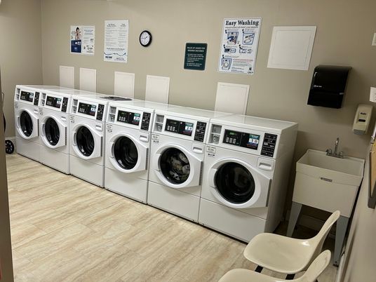 Interior, Washer, Wood Texture Flooring