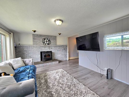 Fireplace, Interior, Living room, Stone Walls, Wood Texture Flooring