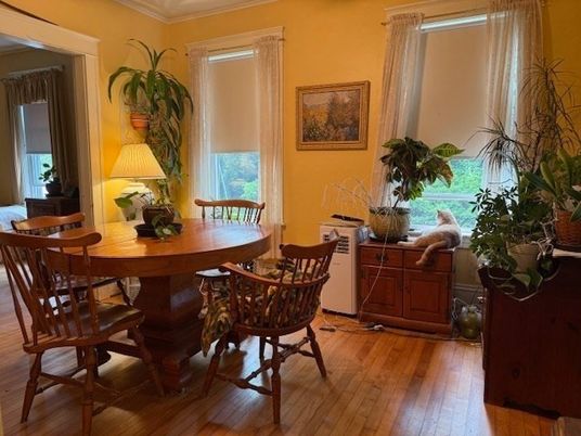 Dining room, Interior, Wood Texture Flooring