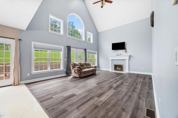Fireplace, Interior, Wood Texture Flooring