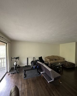Fitness Equipment, Interior, Wood Texture Flooring