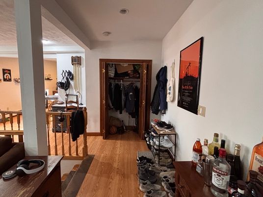 Interior, Walk-in Closets, Wood Texture Flooring