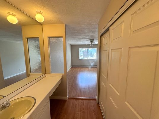 Bathroom, Interior, Wood Texture Flooring