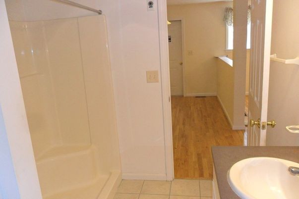 Bathroom, Interior, Wood Texture Flooring