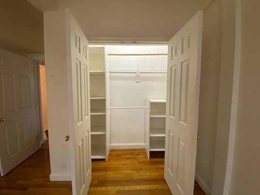 Interior, Walk-in Closets, Wood Texture Flooring