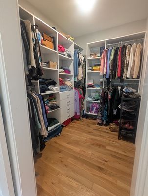 Interior, Walk-in Closets, Wood Texture Flooring