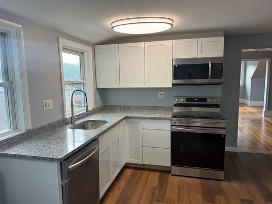 Interior, Kitchen, Stainless Steel Appliances, Wood Texture Flooring